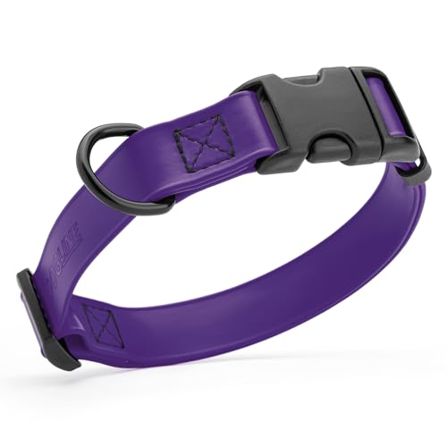 Image of Dogline Biothane Waterproof Dog Collar with Quick Release Buckle Strong Coated Nylon Webbing with Odor- Proof for Easy Care Easy to Clean Fits Small Medium Large Dogs, Purple 1 inch W 15-23 inch L
