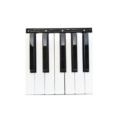 �݊���������Korg PA600 PA500 PA700 PA300 Microx R3 X50 �L�[�{�[�h�����L�[�ɑΉ�(12 black white keys)