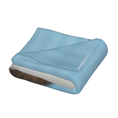 Couverture en flanelle loutre douce de qualité supérieure pour lit - 5