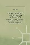 Ethnic Minorities in the Modern Nation State: Working Papers in the Theory of Multiculturalism and Political Integration (Migration, Minorities and Citizenship)