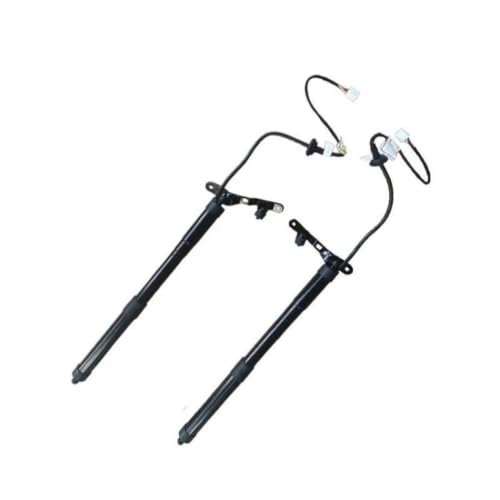Support levage coffre bloqué ? Solution trappe électrique Rav4 2013-2016 gauche droite