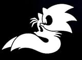 Sonic and Tales Decal Vinyl Sticker|Cars Trucks Laptop| White |5.5 x 3.5 in|CCI908