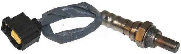 Replacement Drum Brake Hardware Kit Rear Compatible with 1979-1981 International F1924