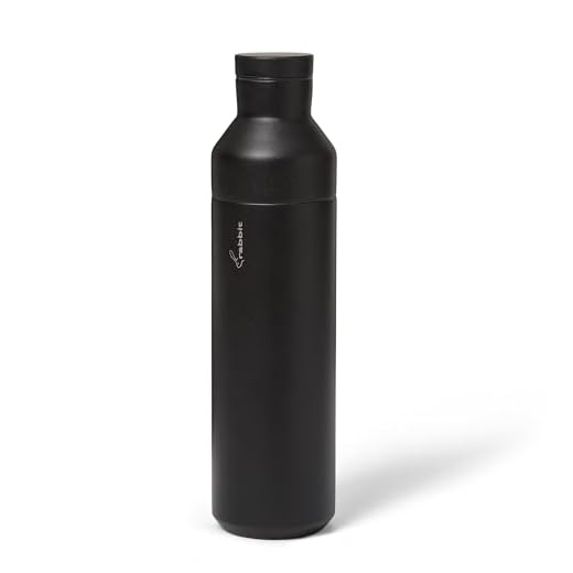 Insulated Wine Bottle and Cocktail Shaker