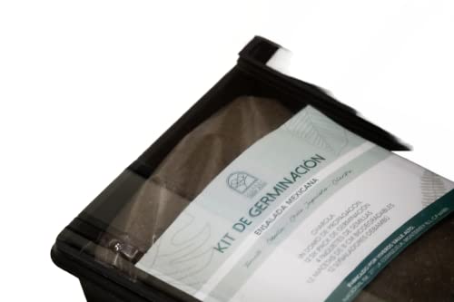 Mejores comprativas On-line Macetas biodegradables huerto de esta semana. 11 Imagen adicional