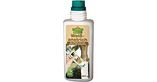 Preisvergleich Produktbild Florissa Weißanstrich 350 g
