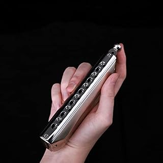 MEIeynt Harmonica Chromatique C, 12 Trous 48 Tune Orgue à Bouche Harmonica Chromatique Clé De C pour Adultes… – Image 4