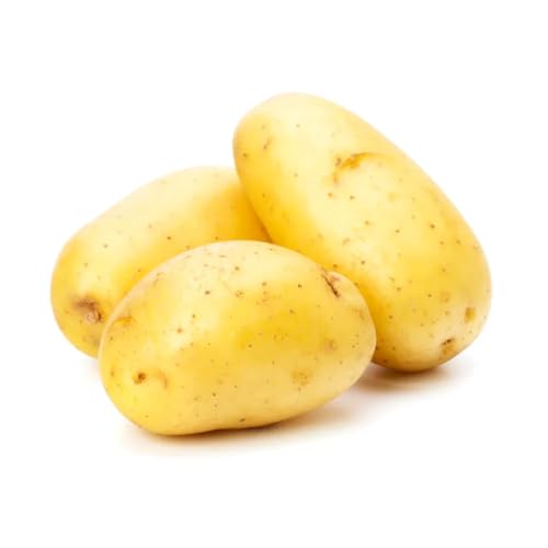 Premium Potato 900-1000g Lebanon 4-6 Pcs (Medium/Large Size Unwashed)