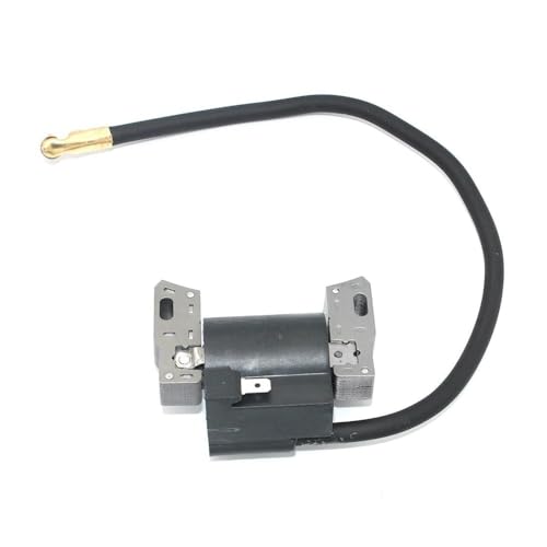 Bobine d'allumage pour résoudre les problèmes de démarrage à chaud - 2