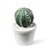 LCCL Juego de 3 Mini Plantas Artificiales para Decoración del Hogar (Cactus...