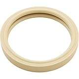 Pentair 79108500 Replacement Lens Gasket for SpaBrite And AquaLight Pool and Spa Lights
