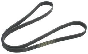 Volkswagen Drive Belt - 06B903-137E