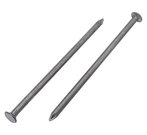 Confezione da 300 chiodi per costruzione in