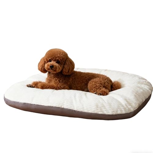 Lifetips gCv[hiToy Poodlej ybgxbh  L \t@ NbV 􂦂Jo[ h  ӂӂ 傫 I[V[Y ~ y ϋv ᔽ ʋC  R hL h_j ې OȒP p 