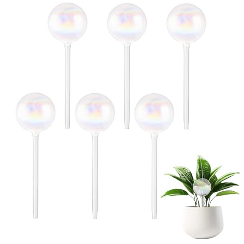 Oungy 6 Stück Bewässerungskugeln aus Glas, Transparent...