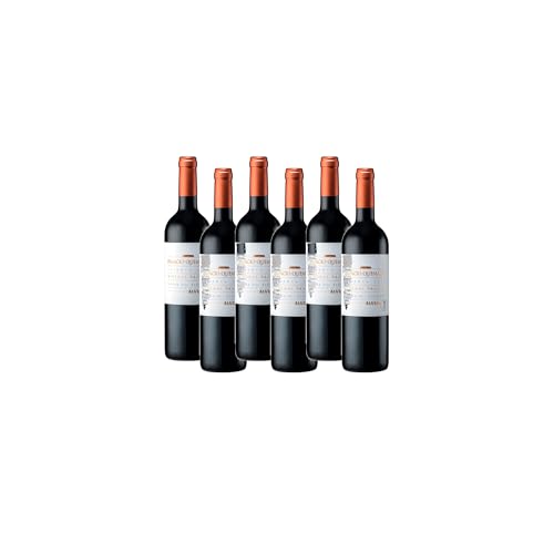 Palacio Quemado Crianza vino tinto premium selección gourmet – 6 Botellas x 75 cl
