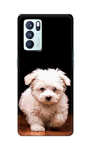 Image of PRINTFIDAA� Printed Hard Back Cover Case for Oppo Reno6 Pro 5G Back Cover (Puppy Dog) -2808