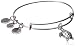 Alex and Ani Turtle Rafaelian Silver Bangle Bracelet