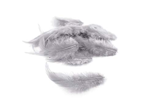 3g Hahnenkreuz Federn ca. 8-13cm (hell silber/grau 012H) // Dekofedern Bastelfedern Federn Hahn Natur Schmuckfedern Vogelfedern Hahnenfedern