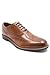 Thomas Crick Men's 'Cardew' Brogue Formal Leather Shoes, Comfortable, Durable, Stylish, Classic Premium Leather Shoes with Classy Embroidered Upper (Black, Tan)
