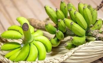 希少!特許製法で作るシリカ水で栽培する特別な「島バナナ」[ふるさと納税 沖縄県石垣市 沖縄 石垣市 石垣島 希少 無農薬 バナナ ばなな 離島のいいもの 沖縄いいもの石垣島 ]OI-6