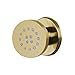 Fontana Showers Round Massage Body Spray Brushed Gold