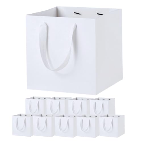 Archnote ���� ��� �M�t�g�p �}�`�L �M�t�g�o�b�O �� �� �����` 25cm�p 10�� �Z�b�g