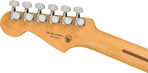 Player Plus Stratocaster PF Aged Candy Apple Red - Les Beatles, Paul McCartney, John Lennon, RIngo Starr, George Harrison Player Plus Stratocaster PF Aged Candy Apple Red – Image 7