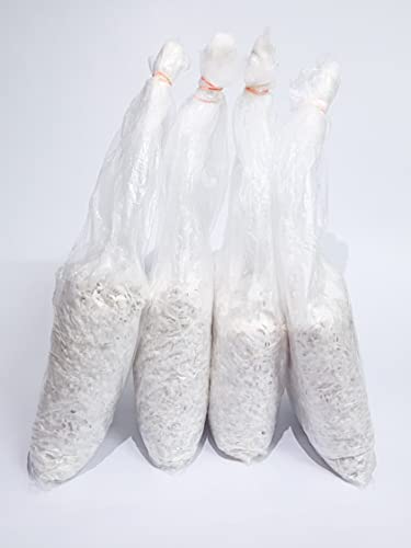 Shyam Mushroom - Oyster Mushroom Spawn and Seed - 2 Kg (Bulk Pack) (B09JXPY41F) Amazon Price History, Amazon Price Tracker