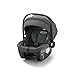 Graco Gomax Infant Car Seat, Baseless Car Seat with Canopy, Rear Facing, Lightweight Carseat