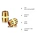 2 Pieces Brass Pipe Fitting 3/4 x 3/4 Inch NPT Brass Hex Nipple Male Pipe Adapter, Straight Connector Pipe Fitting
