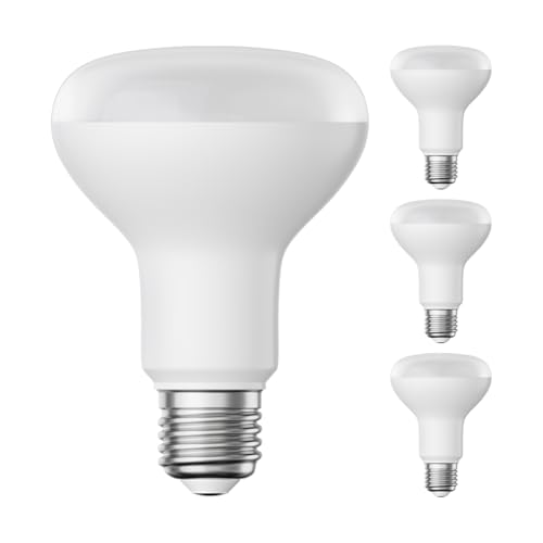 ledscom.de 4x lampadina LED E27, R80, bianco caldo (2700 K), 10 W, 935lm, opaca