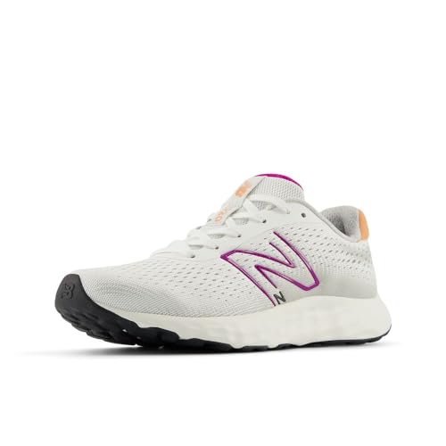 Image of New Balance Women 520 Running Shoes