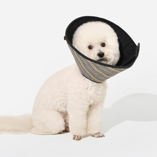 Puppia Dandy R[J[ p㌢p  K ybg񕜎 GUxX ̎ ubN MTCY