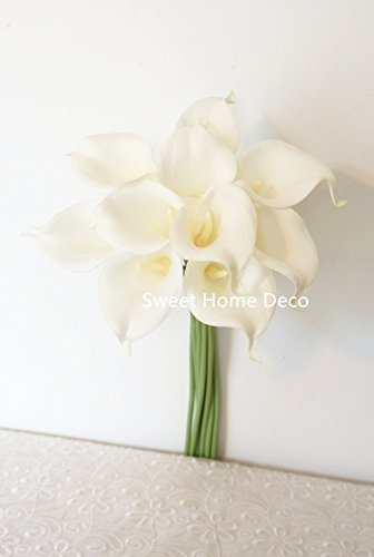 product_img5