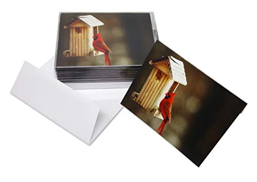 Image of Small World Greetings Single Cardinal Note Cards 12 Count - Blank Inside with White Envelopes - A2 Size 5.5 inch x 4.25 inch - All Occasions - Bird Stationery - Birthday, Thank You, and More