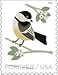 USPS Forever Stamp Sheets Featuring Birds (2 Sheets, Birds in Winter)