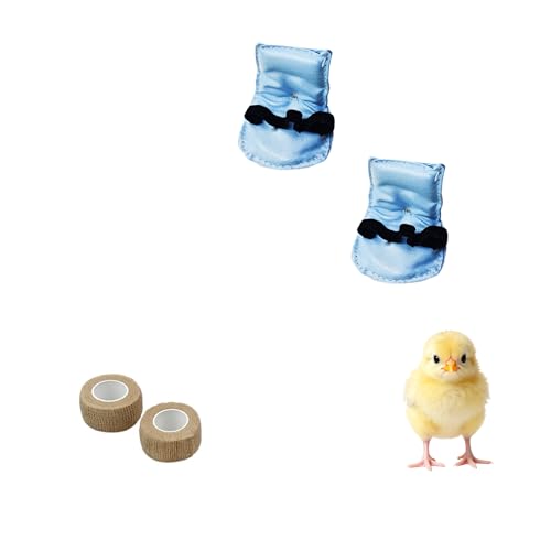 2 Pack Chick Hobble Brace with Toe Separator Chick Splay