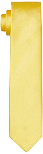 46% OFF on PARK AVENUE Men's Polyester Necktie (Pack Of 1) (PZNL11659-M6150_Maroon_150_Maroon Red) 46% OFF on PARK AVENUE Men's Polyester Necktie (Pack Of 1) (PZNL11659-M6150_Maroon_150_Maroon Red)