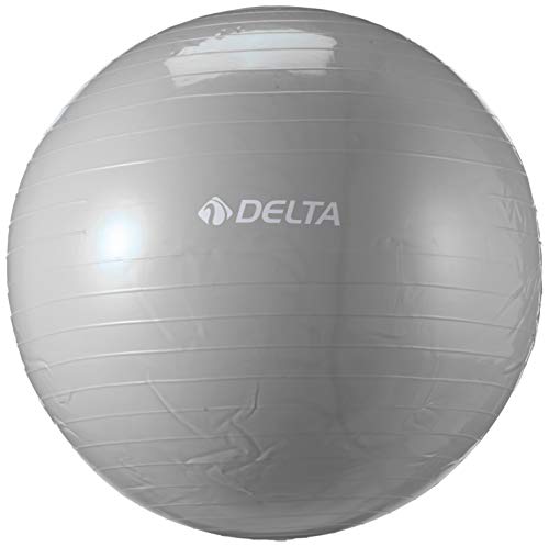 Delta Ds 565 Pilates Egzersiz Topu, 65, cm Unisex, Gümüş Rengi