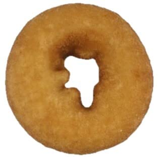 Vegan Plain Iced Donut