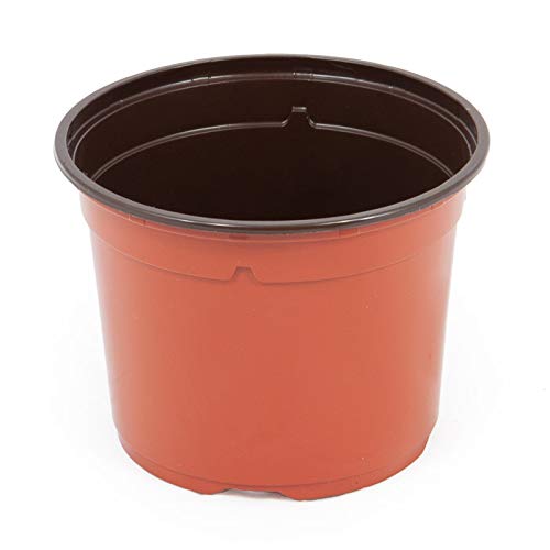 DUO - Vaso per coltivazione, 12 cm, terracotta