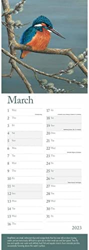 Robert Fuller, British Wildlife in Art Slim Calendar 2023