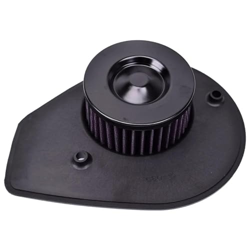 Filtre à air moto HD4915 pour Harley Davidson XG750 Street 2015-2020