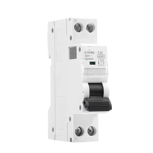 Mini disjoncteur DPN MCB 1P+N 10A 220V courbe C rail Din coffret électrique 6KA
