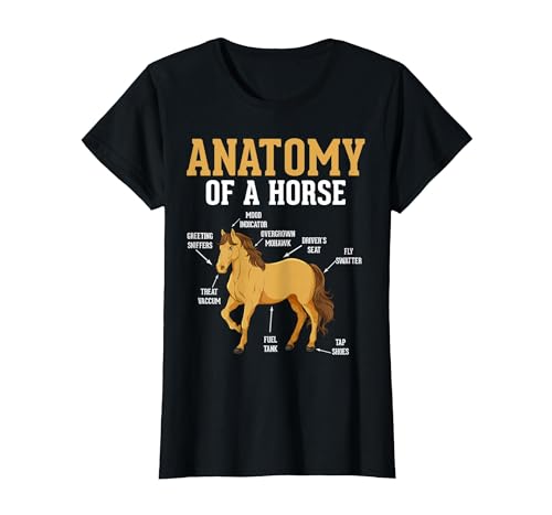 Anatomy of A Horse Funny Equestrian Neigh Horse Lovers T-Shirt, Women, Black, Medium