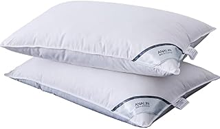 ANALIN 2 Pack Goose Feather Down Pillows, 100% Cotton Shell, Non-allergenic & Anti dust mite, Soft Hotel Quality Pillows (15% Goose Down)