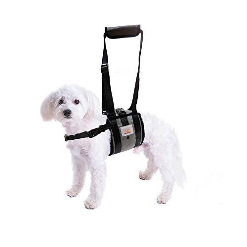 Veterinarian Approved Dog Support Harness + Hair Remover Glove - Dogs Sling Lift for Paralyzed Legs - Adjustable Straps - Mobility Rehabilitation for Injured Arthritis Elderly Disabled - Small Breed