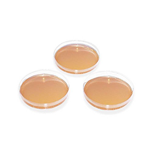 Preisvergleich Produktbild 20x MegroPlate Dermatophyten-Selektivagar DTM nach TAPLIN, Nährboden