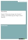 GRIN Verlag